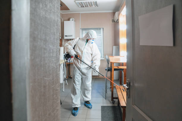 Best Residential Mold Inspection & Testing  in Sa De Oro Mount Helix, CA